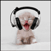 Аватар для Renesmy